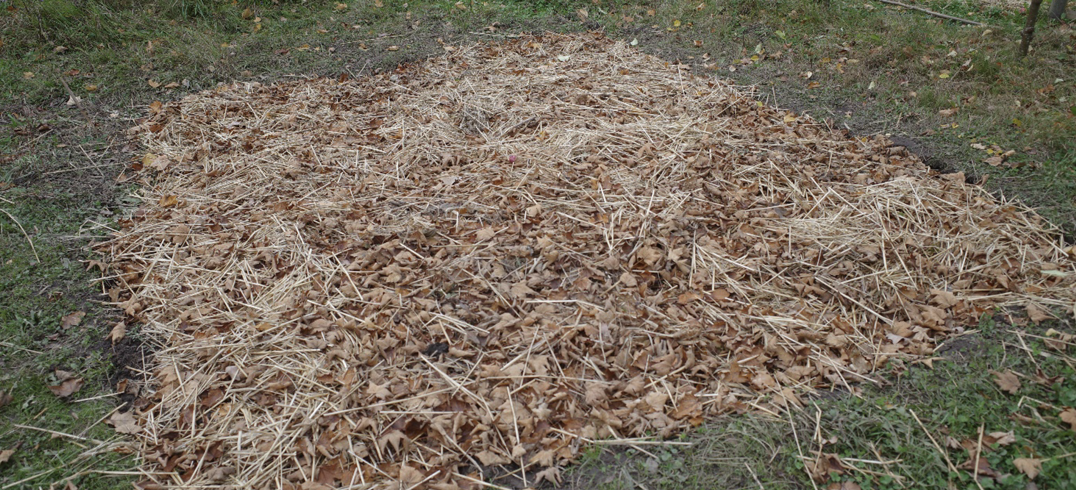 Schulgarten Nachrichten