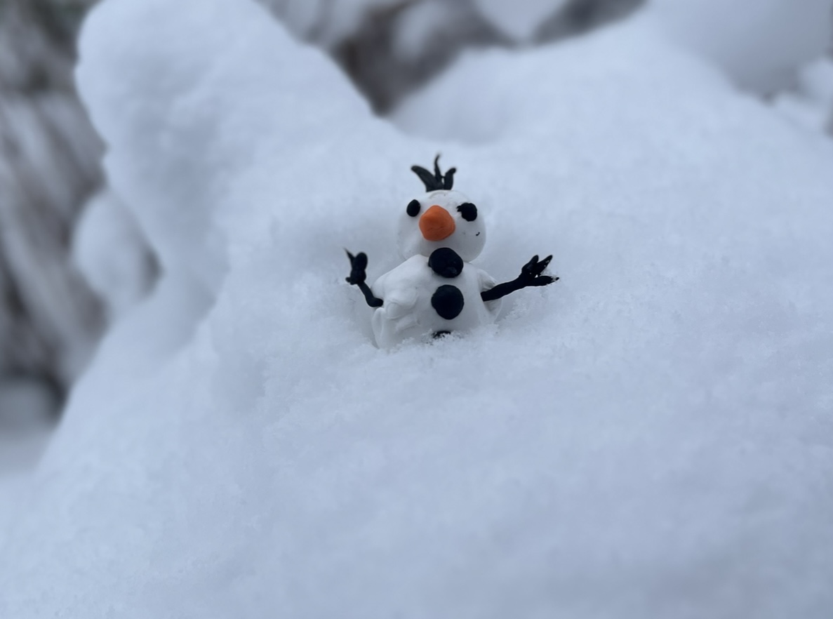 Kein Präsenzunterricht am 9. Januar