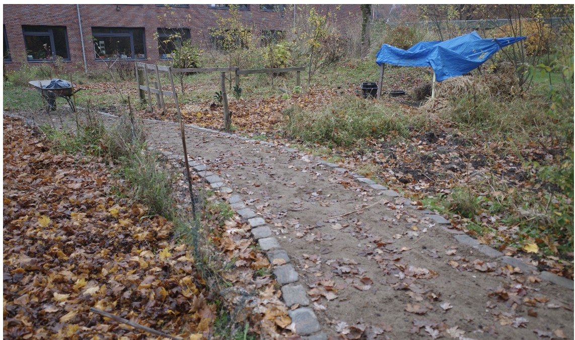 Schulgarten Nachrichten 4/26